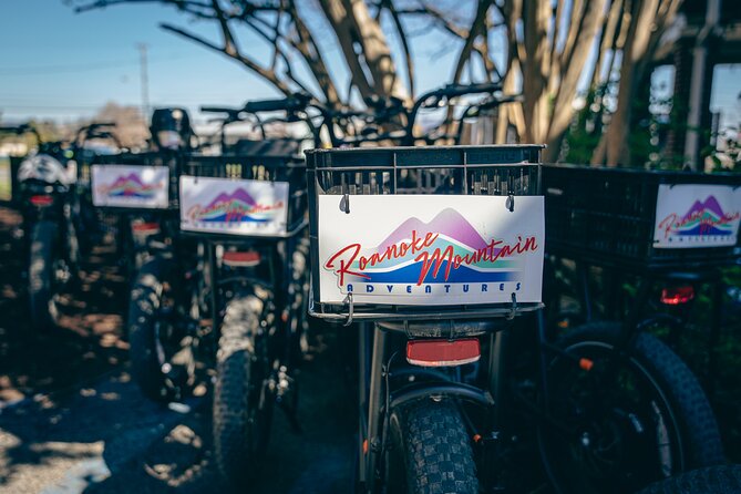 3-Hour E-Bike Sightseeing and Breweries Tour in Roanoke - What the $109 price includes
