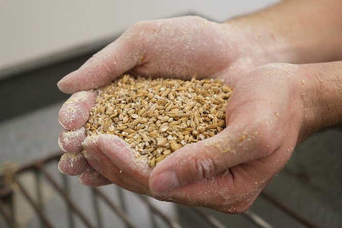 Agricultural Brewery Tour in the Roman Countryside - Walking through the barley and hops crops