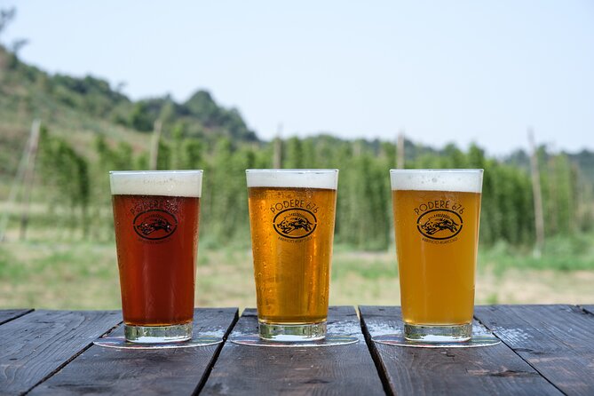 Agricultural Brewery Tour in the Roman Countryside - Is $57.32 a fair price?