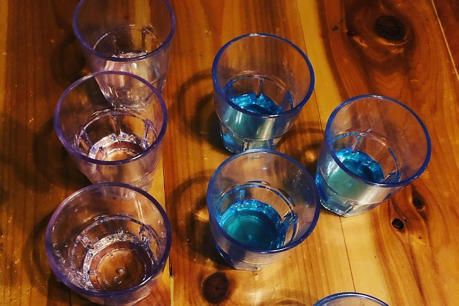 All-Inclusive Pub Crawl with Moonshine, Cocktails, and Craft Beer - The fanny pack is small, but useful