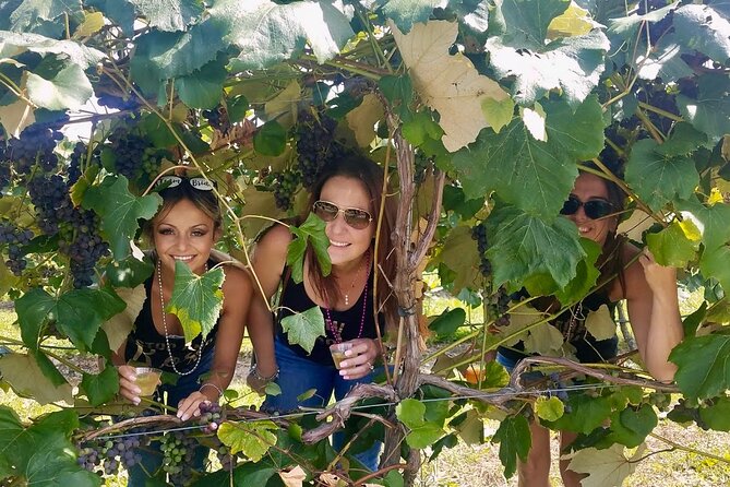 All Inclusive VIP Wine or Beer Tour in Hudson Valley - Value: what the all-inclusive package really covers