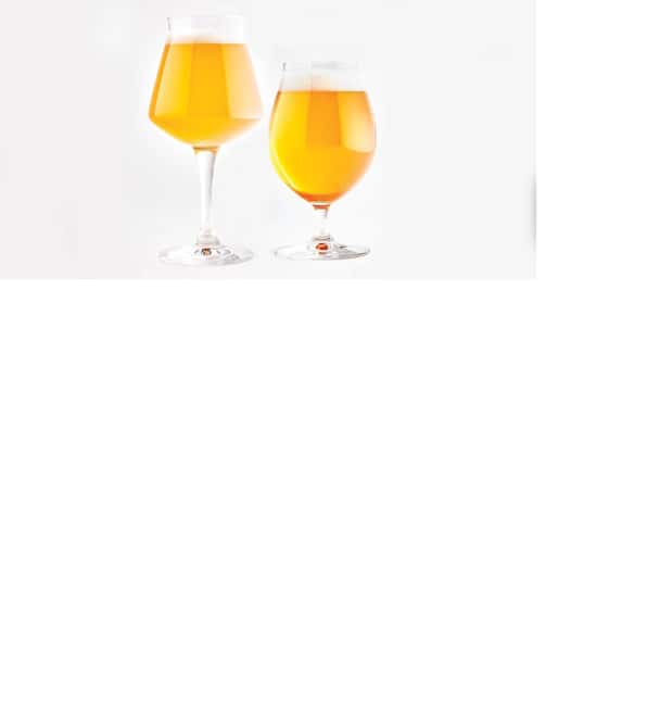 AMMOCHOSTOS VIP -Craft Brewery Tasting & Cypriot Food Trip - Practical details that affect your choice