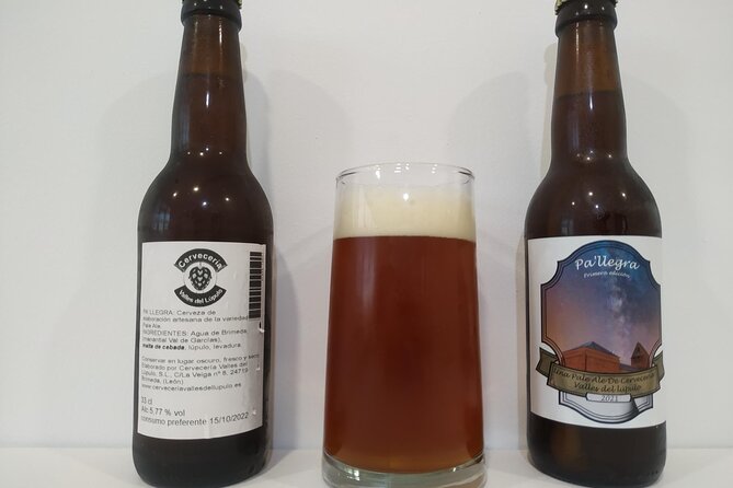 Astorga Cervecera Visit to the Artisan Beer Factory in Brimeda - Tasting craft beers with pinchos
