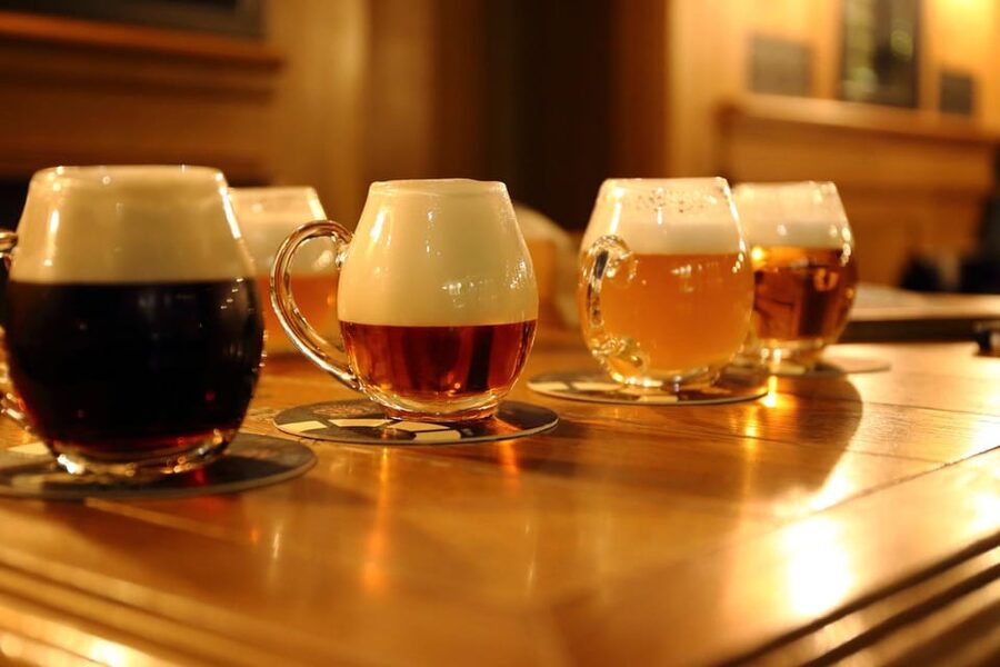 Austrian Beer Tasting and Self-Guided Tour of Vienna - Should you book this Vienna beer tour?