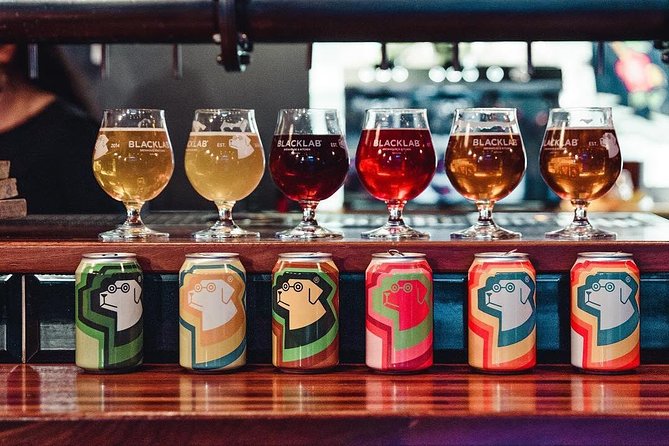 Barcelona Craft Beer Tour with a Brewery Tour and 3 Local Bars - What Kiki brings to the evening