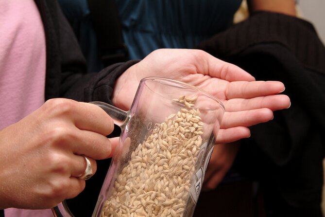 Beer and Brewery Tour in Munich - Beer, history, and the social side of the evening