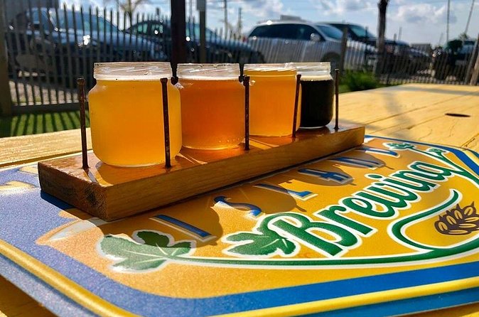Beer Tasting Experience with 4 Beer Flight - Who Will Enjoy This Most?
