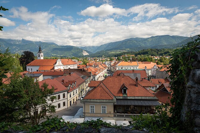 BEER WAY Kamnik Beer Tasting & Brewery Tour - Who will enjoy this evening most?