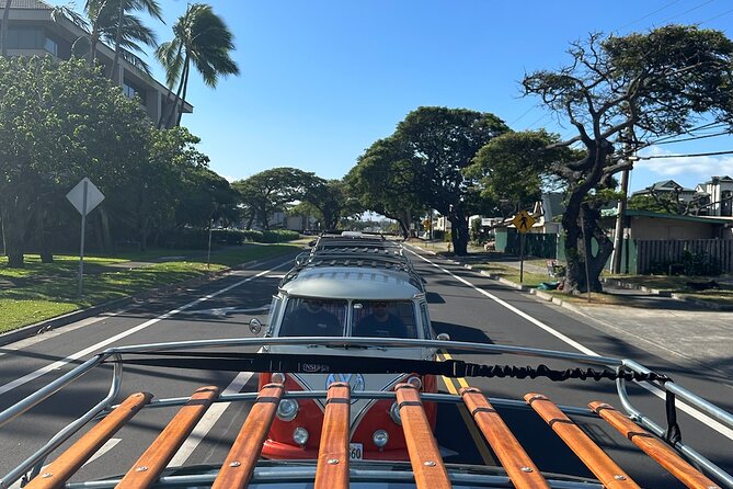 Brewery and Beach Cruise in a Vintage VW Bus - South Maui scenery on the way to Paako Beach