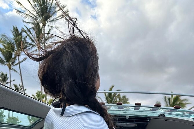 Brewery and Beach Cruise in a Vintage VW Bus - Timing, weather, and booking details
