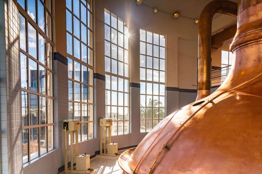 Brewery Experience with Beer Tasting and Optional Transport - The story behind Cisk and Malta’s beer brands