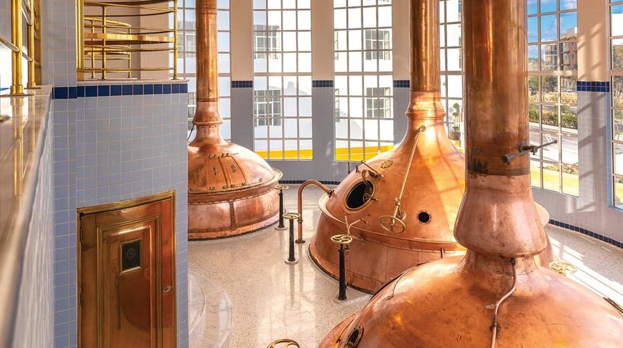 Brewery Experience with Beer Tasting and Optional Transport - Five beers at The Cisk Tap