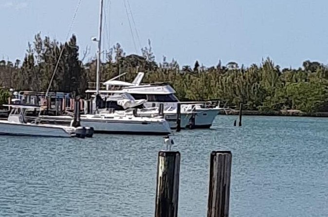 Brewery & Taste with Beach & Shop at Largest Market on Freeport 4-hrs - Timing, Pickup, and Cruise Ship Advice