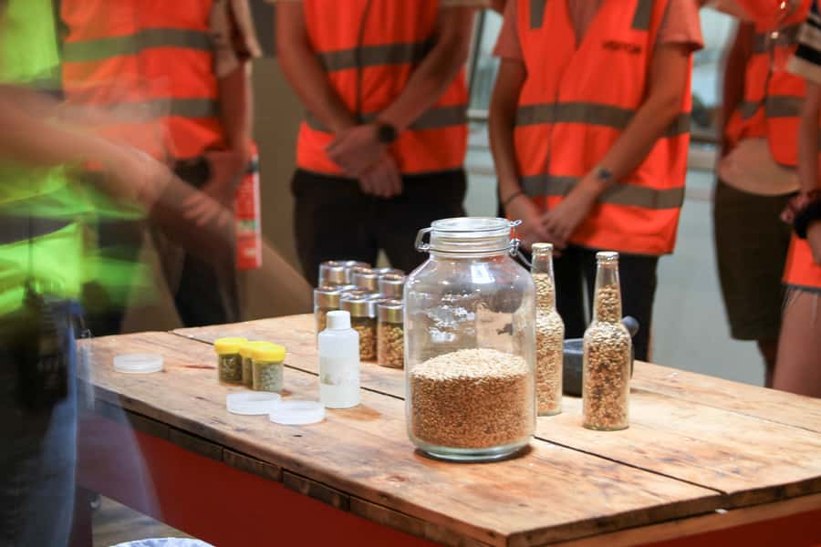 Brisbane: XXXX Beer Brewery Tour and Beer Tasting - What the $29 price includes