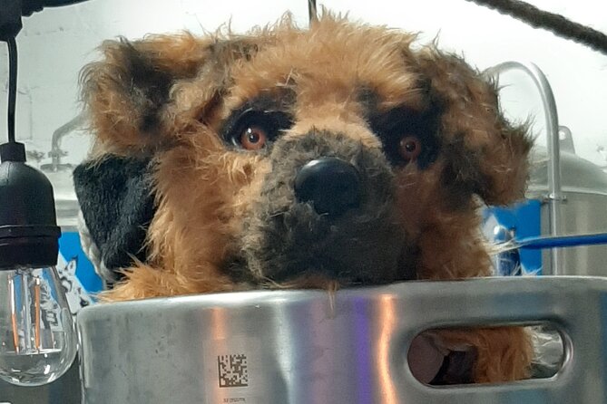 Brixton Craft Brewery Tour - Dog’s Grandad Brewery and its pale ales