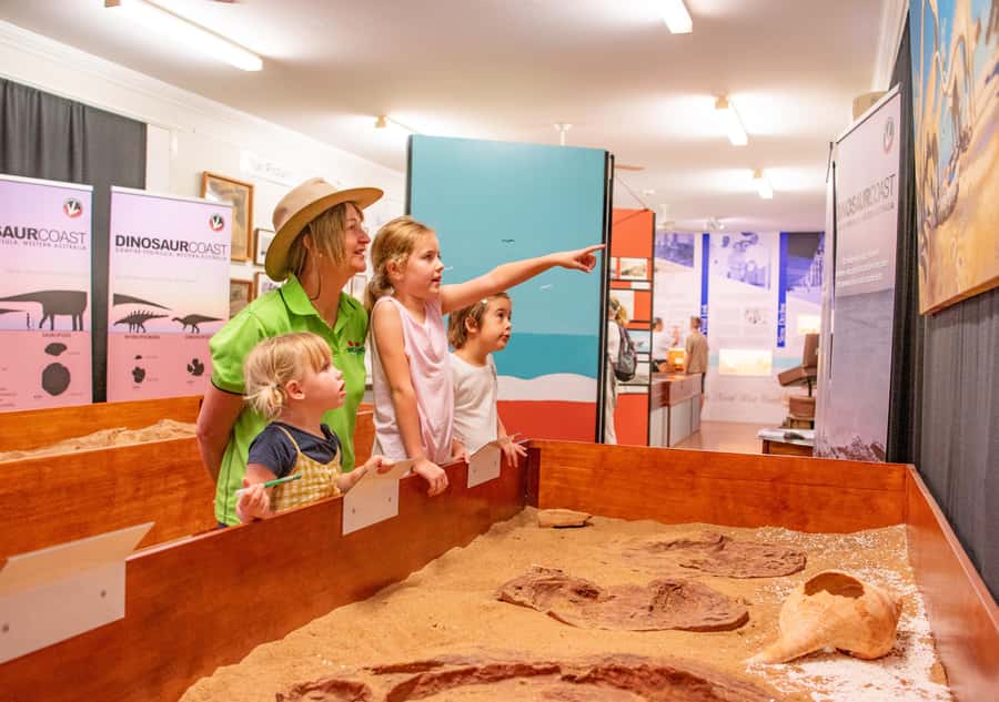 Broome: Matso's Brewery, Museum & Crocodile Park Combo Tour - What the transport adds to the value