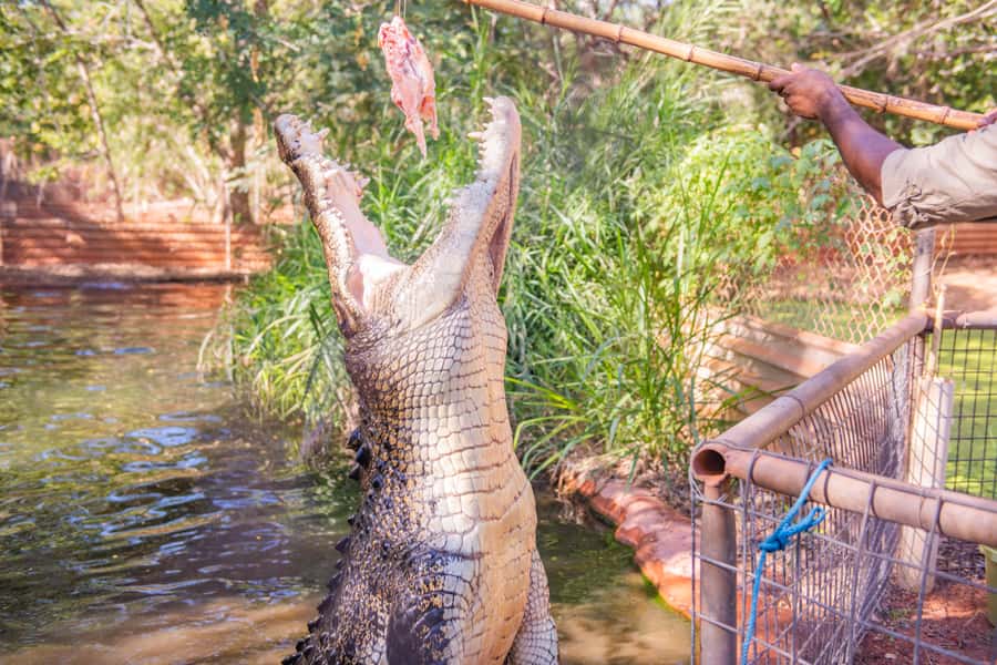 Broome: Matso's Brewery, Museum & Crocodile Park Combo Tour - The Broome Museum in 30 minutes