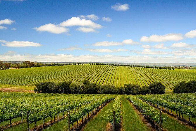 Build your own Unique Private Winery/Brewery Tour at the Margaret River region - A comfortable van makes a difference