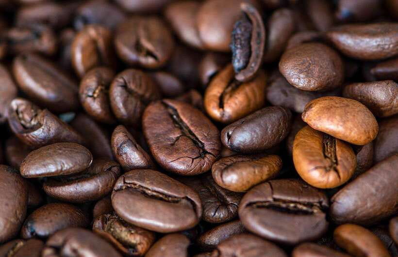Buon Ma Thuot: Specialty Coffee Tour and Brewing Experience - 8:30 AM: Start with a warm specialty coffee