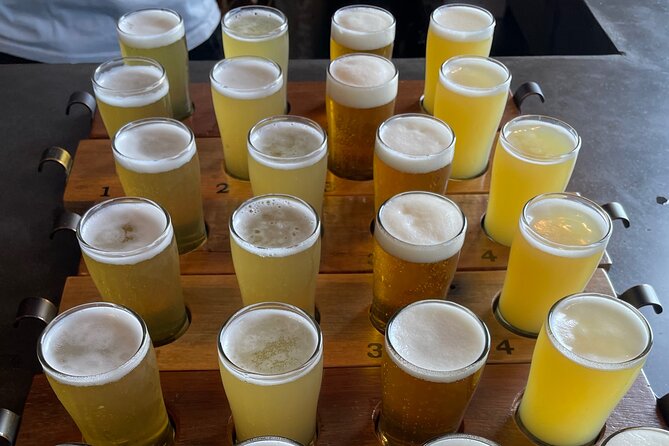 Byron Bay Brewery & Distillery Tour: Tastings, Lunch & transfers - Wandana, Earth and Seven Mile: the brewery choices