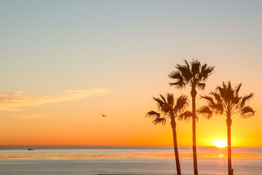 California Sunset Brewery Tour - San Diego’s beach communities by brewery transport