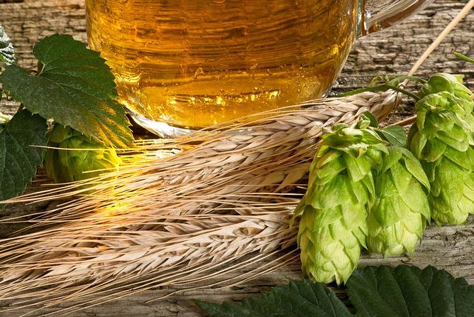 Canandaigua Lake Brewery Tour - Four breweries, one easy Finger Lakes day