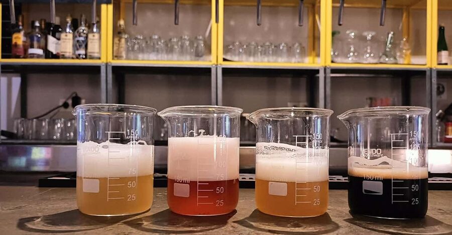 Craft Beer Tasting and tapas in Valencia - Four beers that show Spain’s modern brewing style