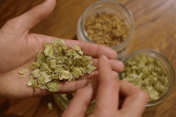 Czech Beer Tasting Experience - What the tasting itself feels like
