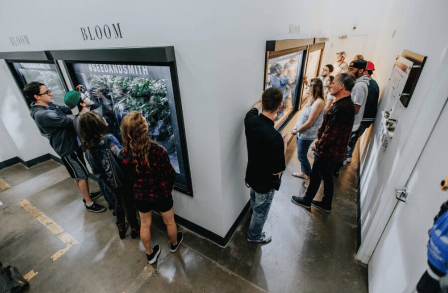 Denver: Buds & Brews Cannabis Grow Tour and Brewery Visit - Dispensary visits and the 15% discount
