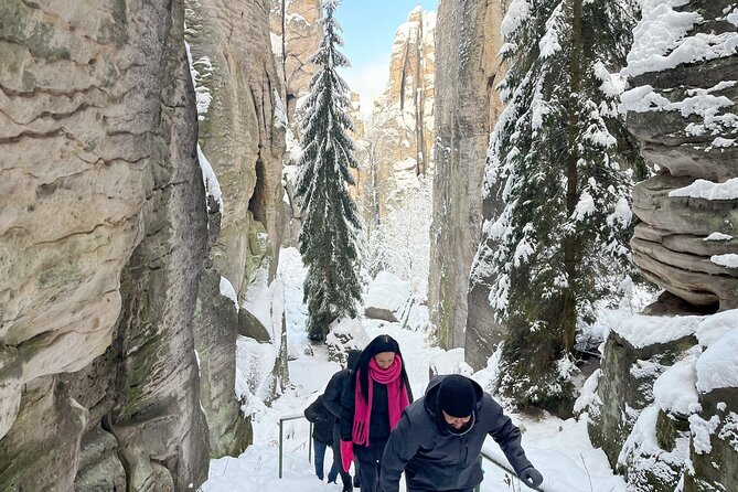 Discover Bohemian Paradise: Authentic Easy Hike, Castle & Brewery - Fresh beer at Lomnické Pivo