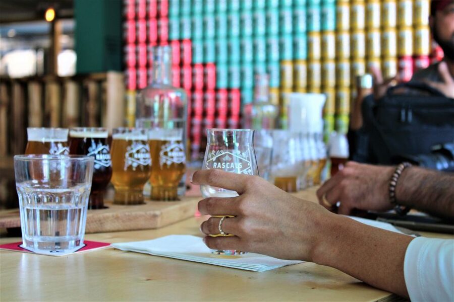 Dublin: Authentic Brewery Tour - Should you book Rascals Brewing Company?