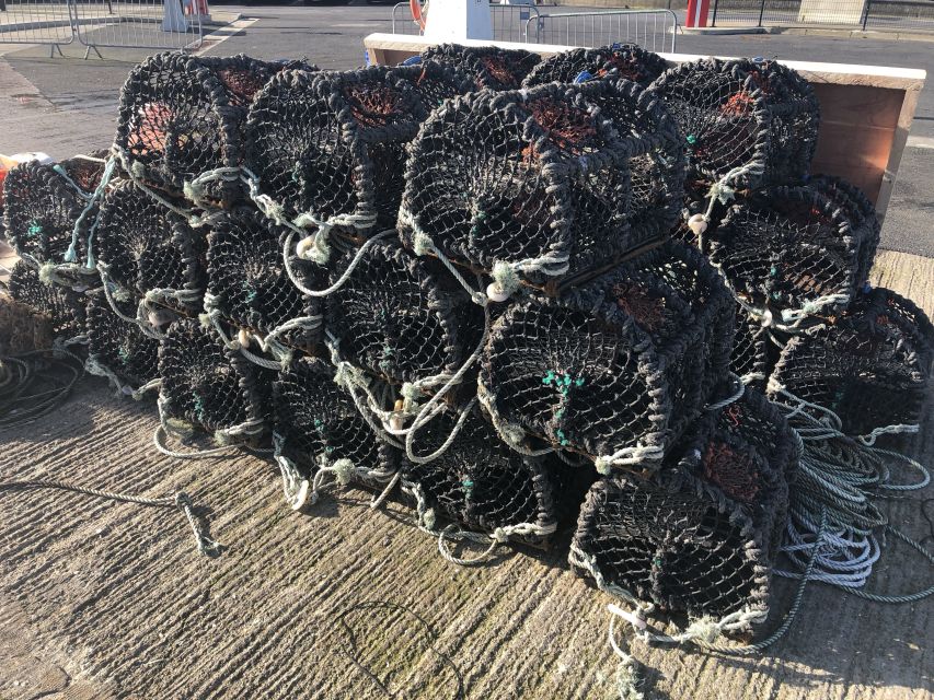 Dublin: Howth Coastal Craft Beer and Seafood Tour - Timing, meeting point, and useful planning tips
