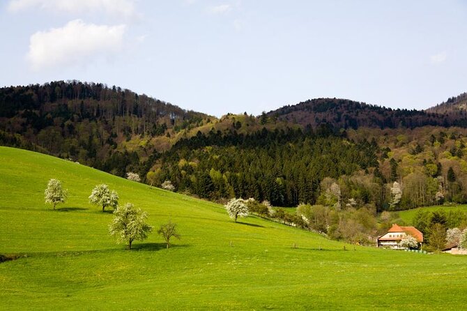 from Frankfurt - romantic Black Forest & brewery, private tour - A full Black Forest day from Frankfurt