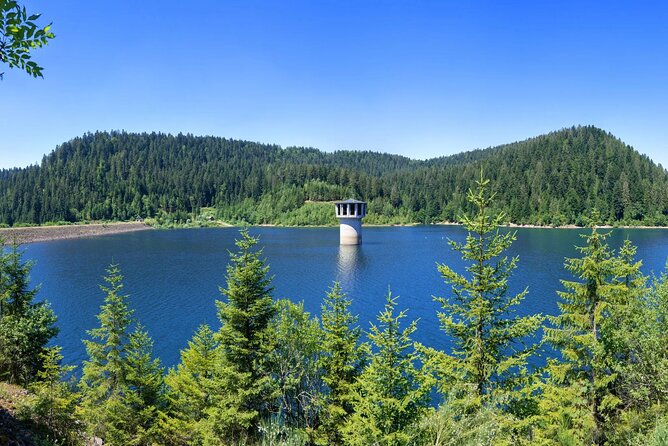 from Frankfurt - romantic Black Forest & brewery, private tour - Allerheiligen ruins and a quiet medieval setting