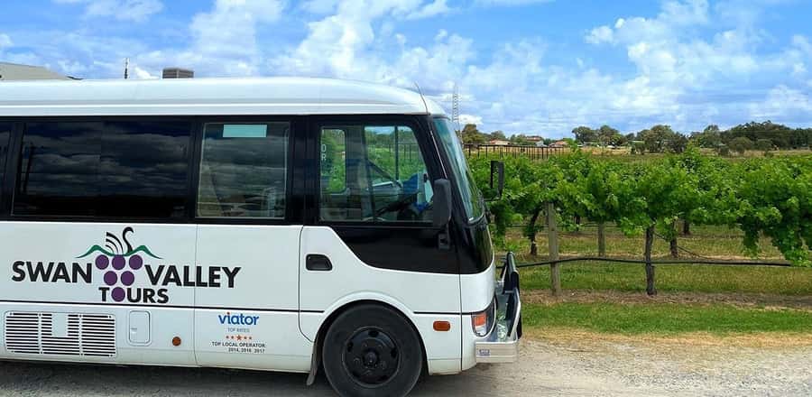 From Perth: Swan Valley Winery & Brewery Day Tour With Lunch - Boutique breweries add a welcome change