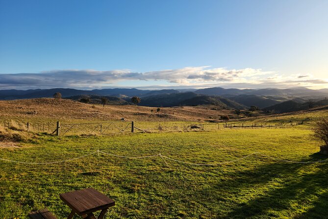Full-Day Canberra Brewery, Wineries & Distillery tour /w lunch - Ambrosia Distillery changes the pace with gin and vodka