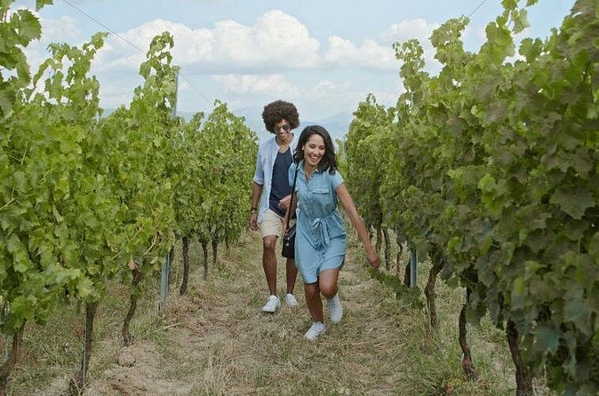 Full-Day Wine, Whiskey & Beer Tour w/ Lunch Pairing - Who will get the most from this tour