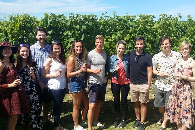 Half-Day Marlborough Wine Tour & Beer Tour - Four and a half hours in Marlborough wine country