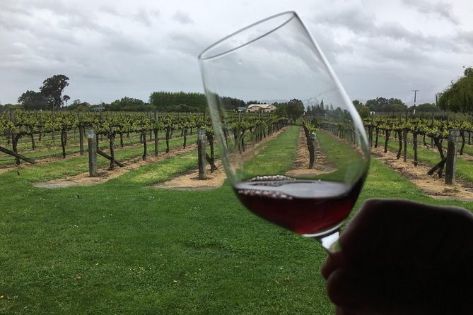 Half-Day Marlborough Wine Tour & Beer Tour - Saint Clair Family Estate Vineyard Kitchen: starting with lunch