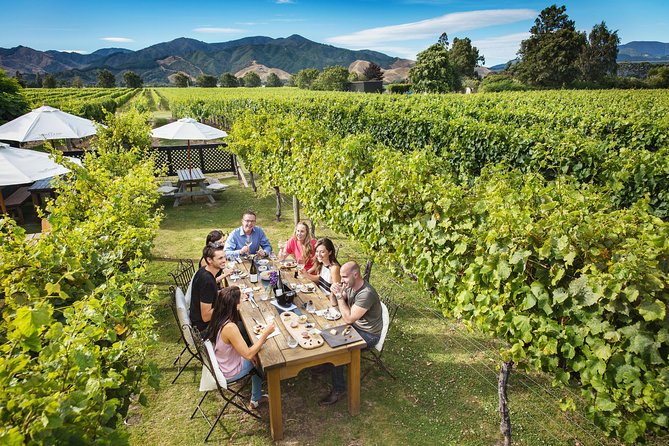 Half-Day Marlborough Wine Tour & Beer Tour - Allan Scott Family Winemakers: another food-friendly stop