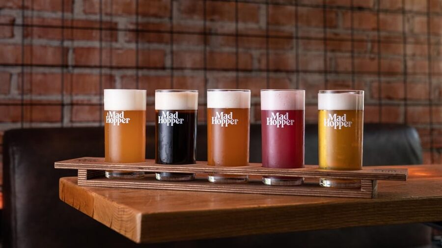 Helsinki: Brewery Tour at Mad Hopper Brewing Company - Key points to know before booking