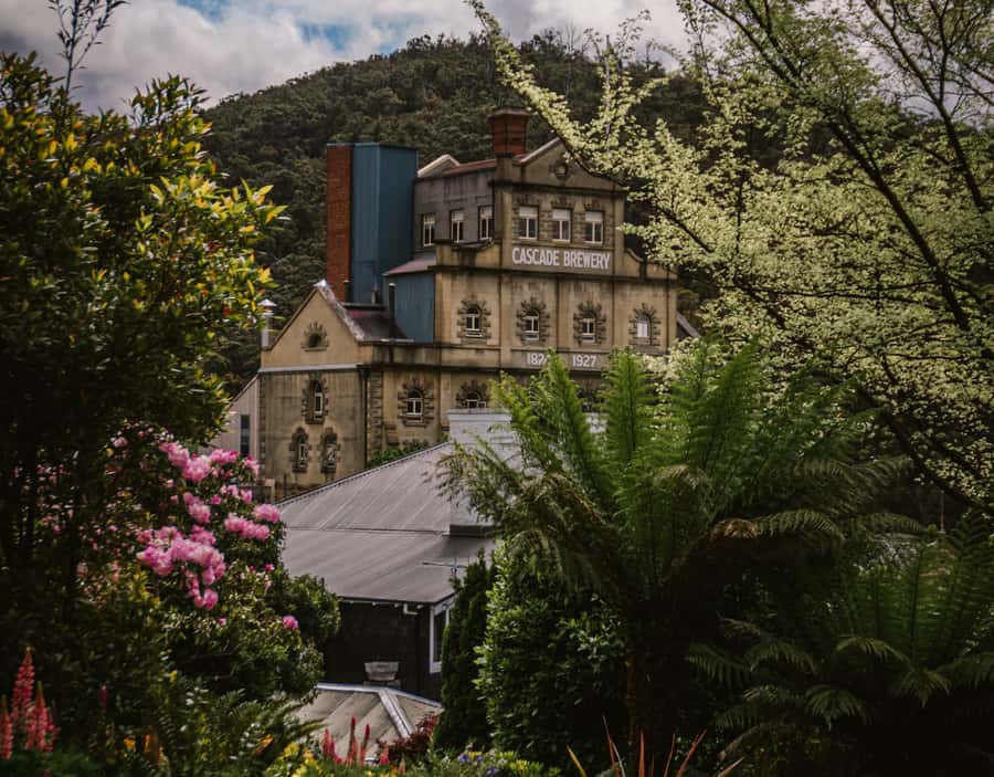 Hobart: Cascade Brewery Historic Tour - Meeting at The Mill entrance