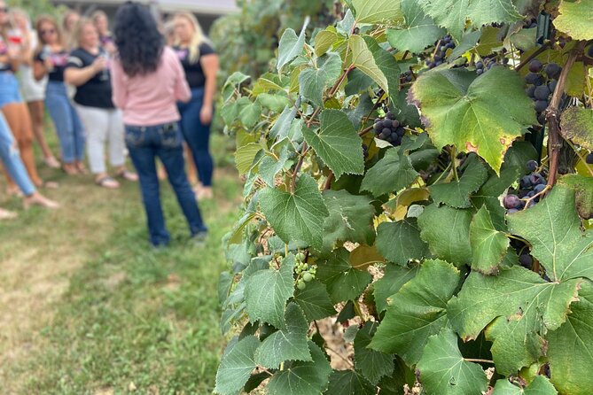 Kansas City Brewery, Winery, and Distillery Tour - Guides who add Kansas City context