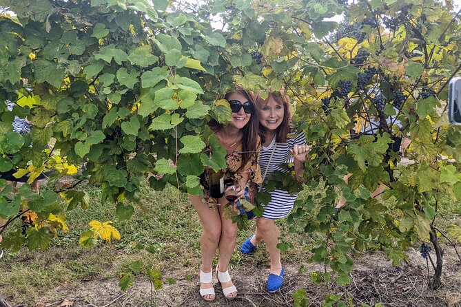 Kansas City Brewery, Winery, and Distillery Tour - Is $98 a fair price?