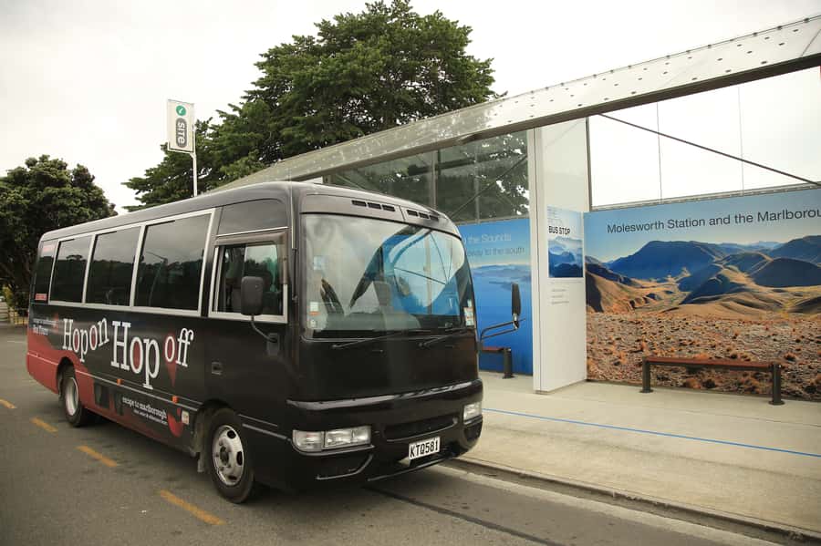 Marlborough: Hop-On Hop-Off Wine, Brewery, and Wonders Tour - What your one-day route can include