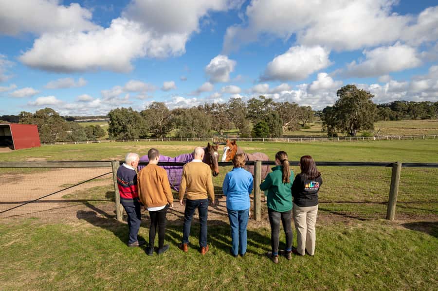 Melbourne: Full-Day Horses, Wine, and Beer Tour - Why this Melbourne day trip feels different