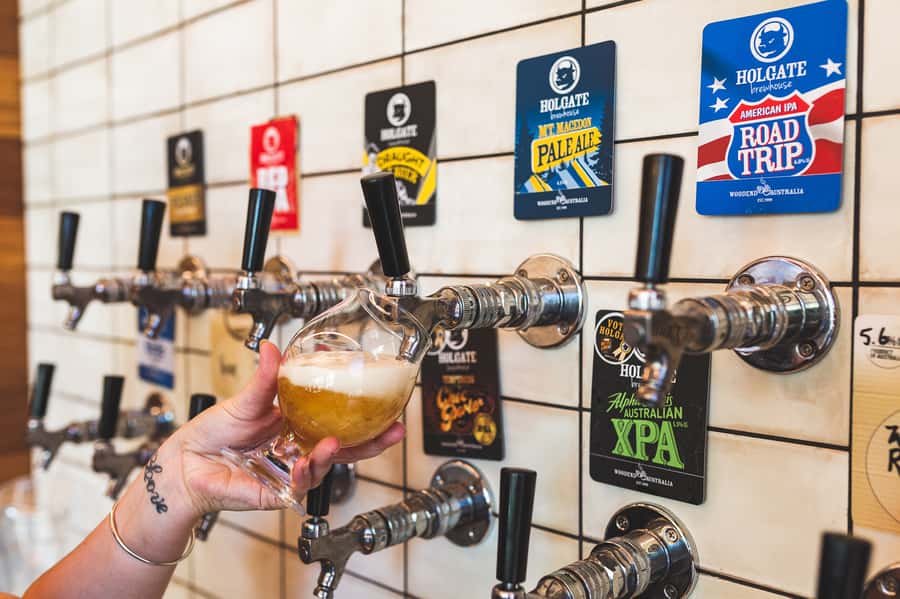 Melbourne: Full-Day Horses, Wine, and Beer Tour - What the $205 price covers