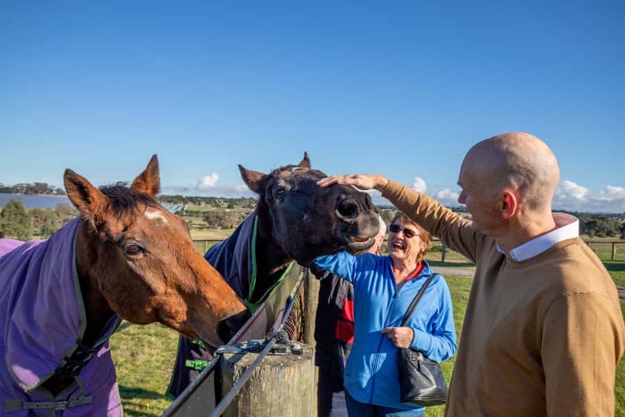 Melbourne: Full-Day Horses, Wine, and Beer Tour - Meeting the champions at Living Legends