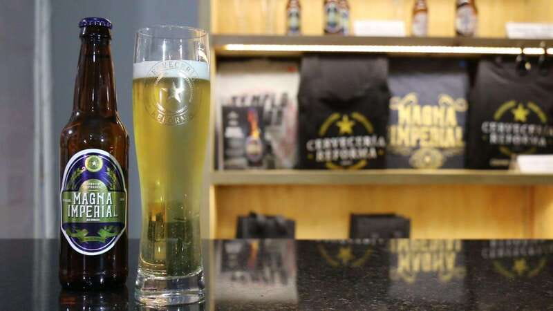 Mexico City Tasting Tour and Craft Beer Experience - Falling Piano keeps the mood light