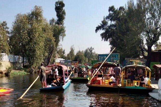 Mixology, Food, Wine and Beer Experience in Xochimilco - What the timing means for your Mexico City schedule